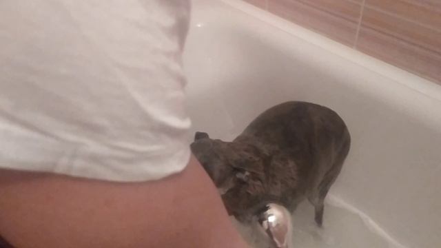 C68165ab616e7a9f5399e8cc4604400e