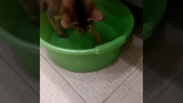 43300ec15dd7c819f093a20e981befc5