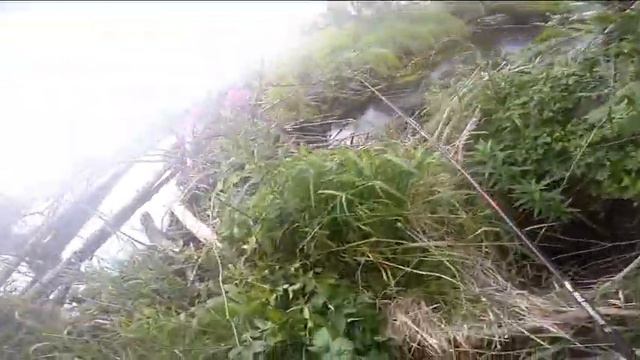 Runetfish Рыбалка в Карелии