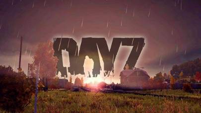 Играю в Dayz