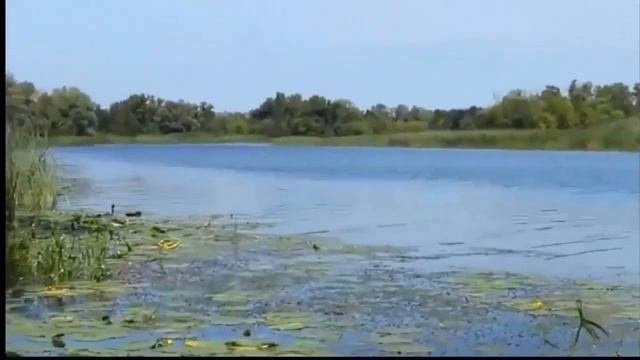 Как поступать в скорбях  Об исповеди преп Амвросий Оптинский