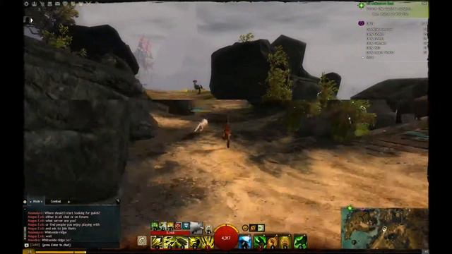 Guild Wars 2 ~ Ranger Pets ~ Pig