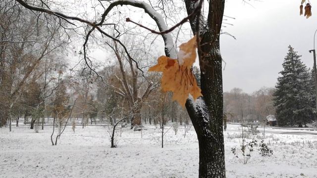 790bcd45e2bb757262ff63a1a4183b33