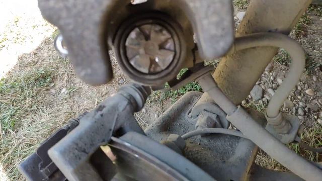 Огородный сад