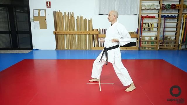 Defensas - Aprende Karate - Hasta Cinturón Azul - Sapeando