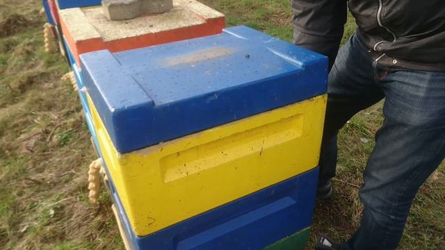 Январь и пчёлы. Катаклизмы погоды зимовка 2017-2018.