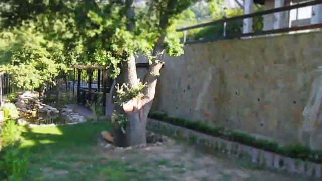 Периметр Laspi House