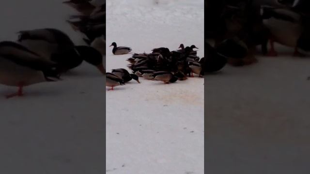 E88927a7affc99648184b329192dfc91