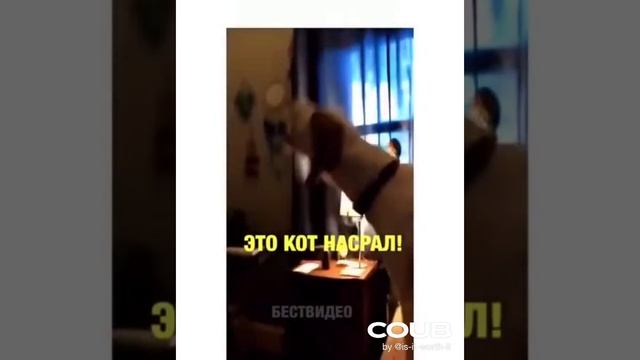 Не прокатило((.mp4