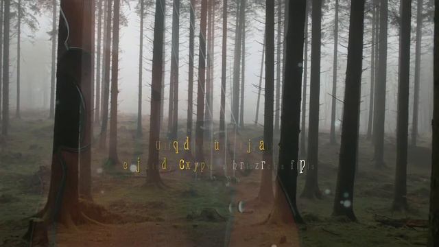 The Missing Strad Book Trailer:  Available Now