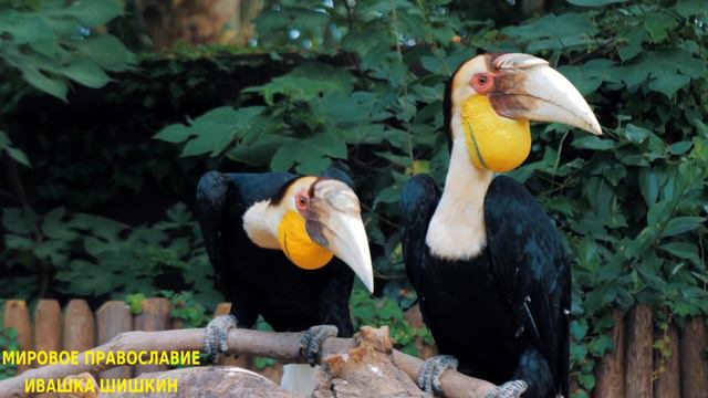 89701c7fd98fed80b39b981844251ece