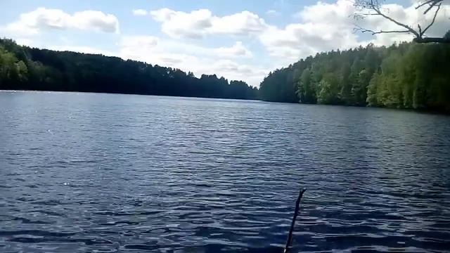 544b3821112ce31f08b360073a53115e