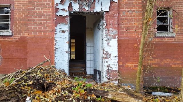 98d216ab00ee4db2df3350a6e93b1047