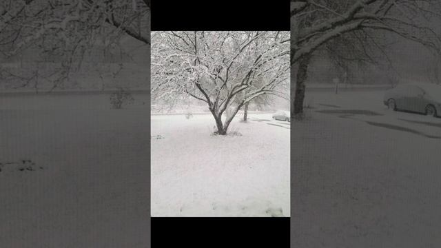 2308f44da85b9f192a6d7ad6ad145527