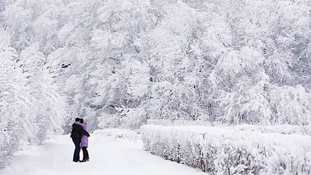 С новым годом! 2017