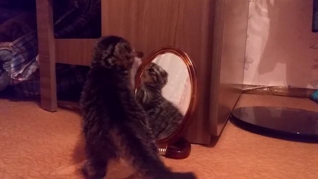 7bd81f8358fb14efc26cc0677078f6e1