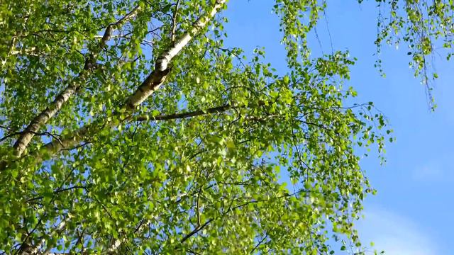 A9f3294ae27702983046e67c9b084513