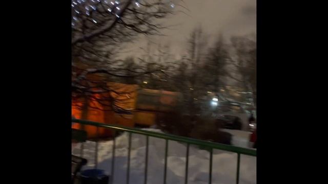 Крещенские купания в Воронцовском парке