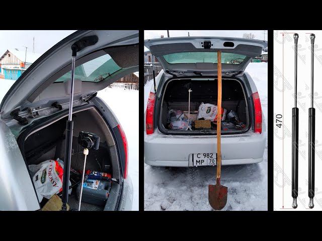 Максим Кучкин