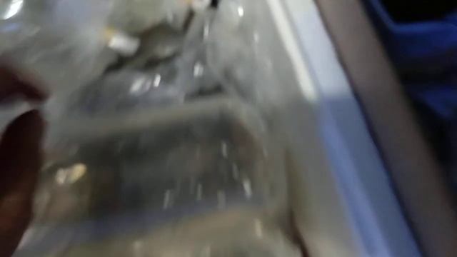 2d6fe35f593dcedf25c7d80856ea2e64