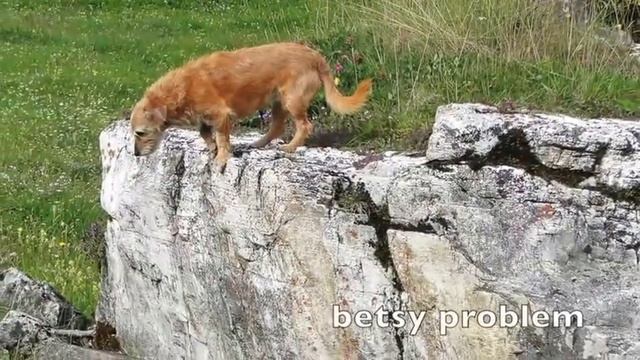 Meraviglie Del Beverin Parc Botany E Natura