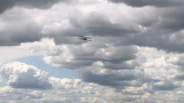 9001a84c2a82ad8db618bef3a5eedef5