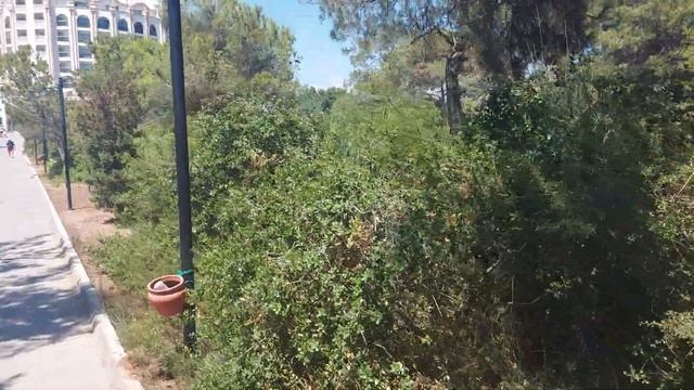 0e6a5894a3161294f60954e7fdd73c13