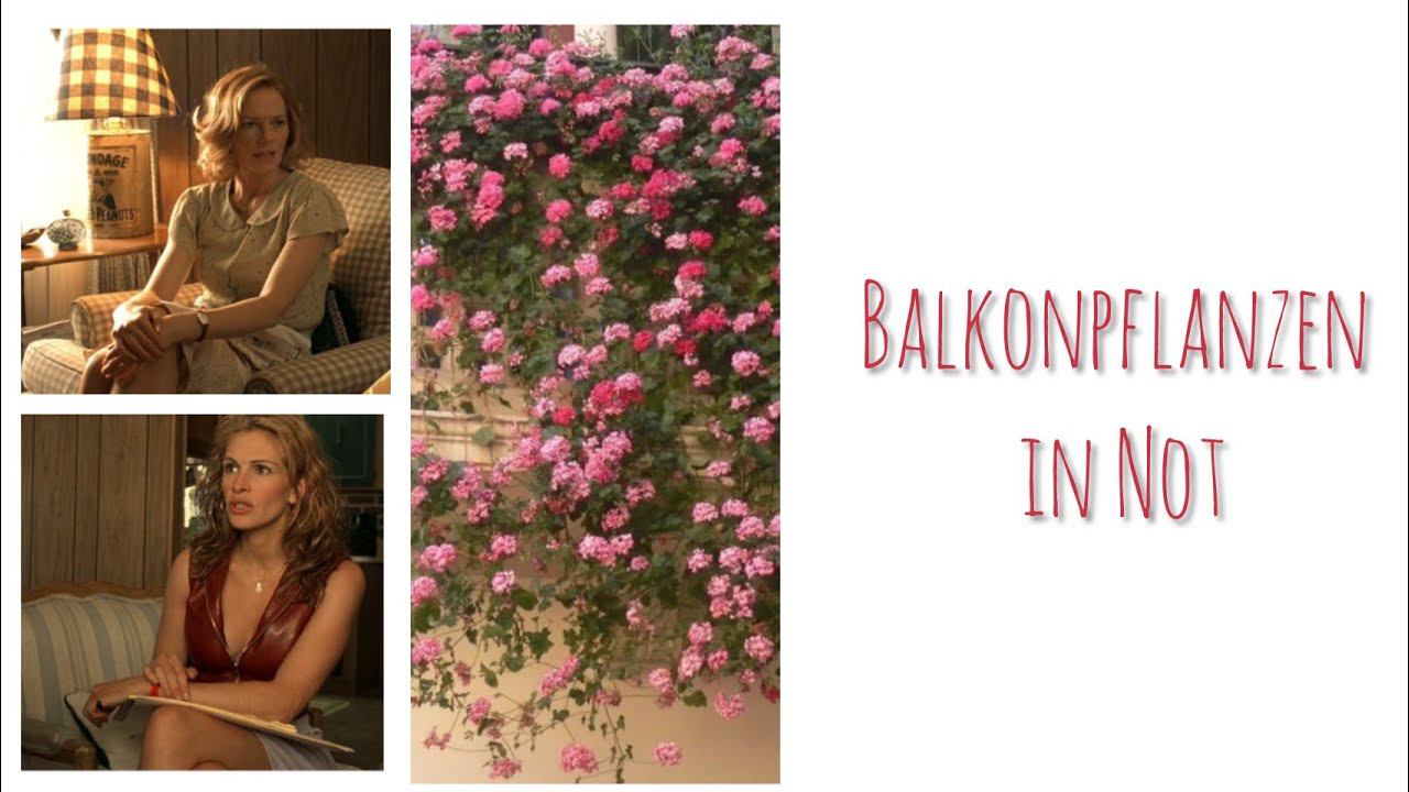 Balkonpflanzen In Not | Dialog A2, B1