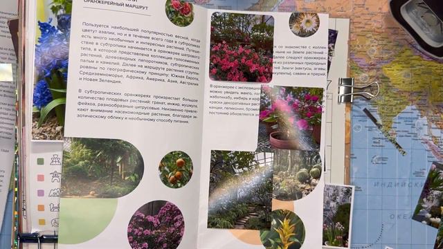 Заполняю зимний блокнот