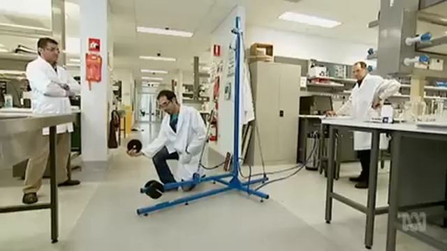 Artificial Muscle Fibre | What Does Muscle Look Like?