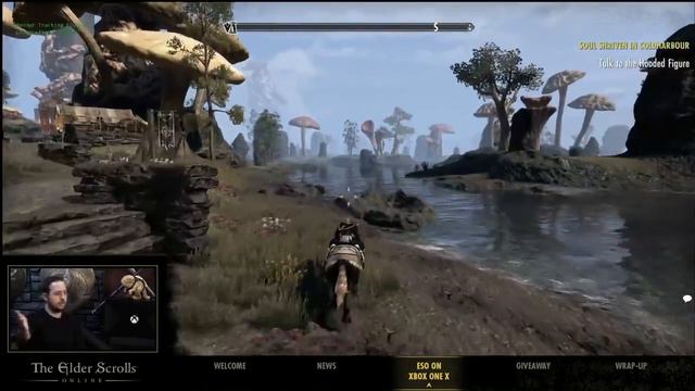 Eso Live Graphics Designer Xbox One X 11/10/17