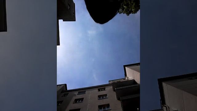 Аюбова Хадижа 2018