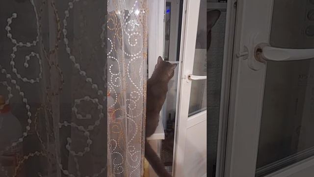 Марсель и дверь