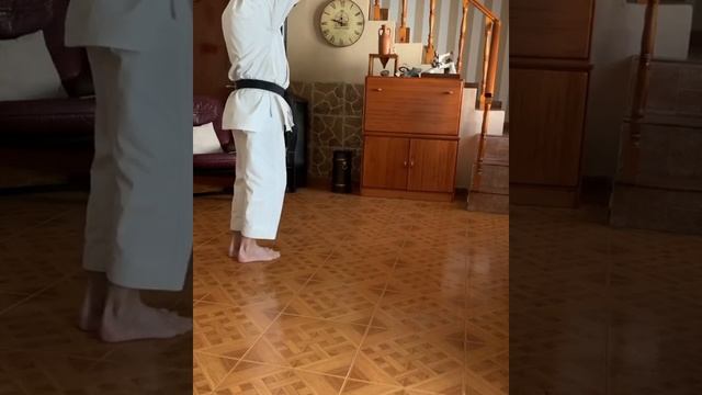 Kata Bassai-Dai. Adaptado Al Espacio. Karate Shotokan. Luis M Sanz.