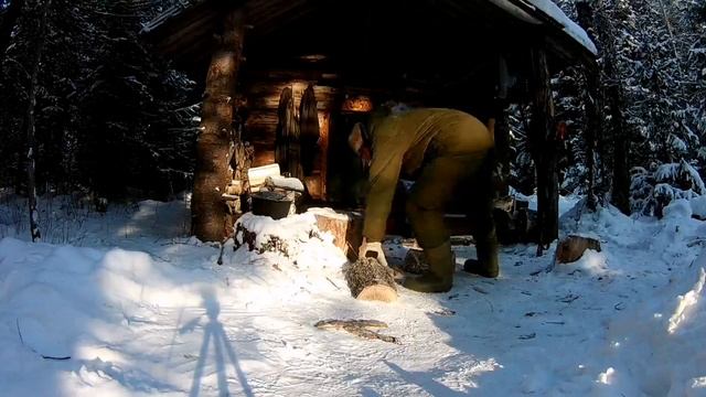 Живем три дня в избе. Ищем хариуса . Тропим лося