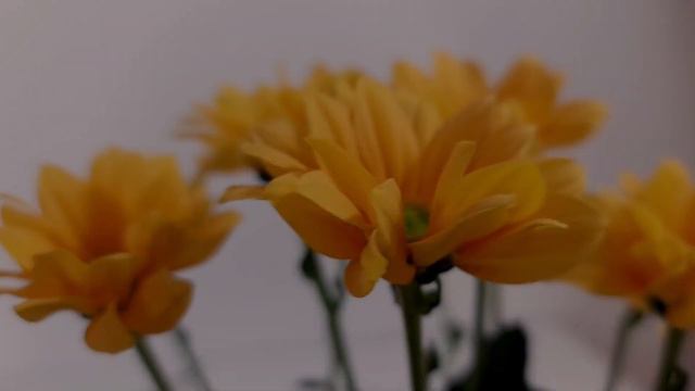 DIY Easy Elegant Sunflowers Floral Design // Natural Rustic Arrangement Tutorial