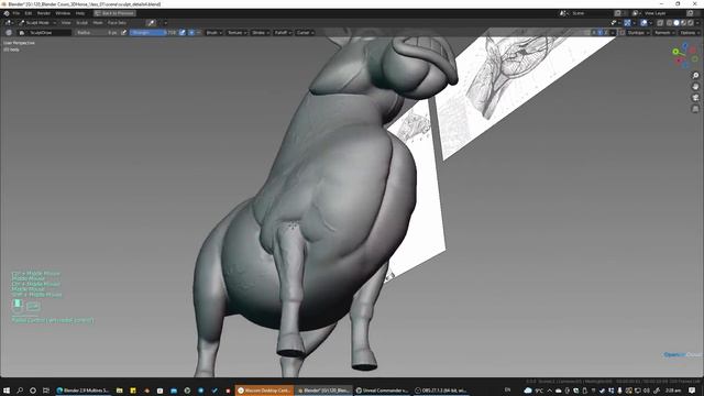 05. Lesson 3 - Muscles And Anatomy