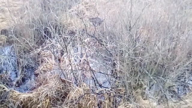 5 січня 2018 р.