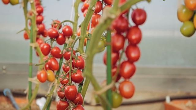 364ea1acf8c4bf87af48343718b68a57