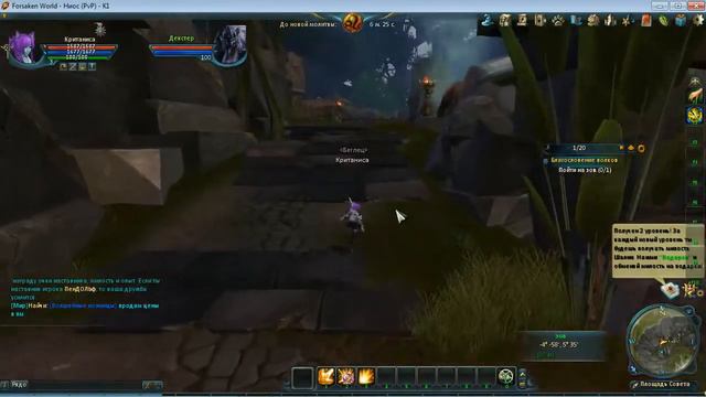 Обзор игры Forsaken World