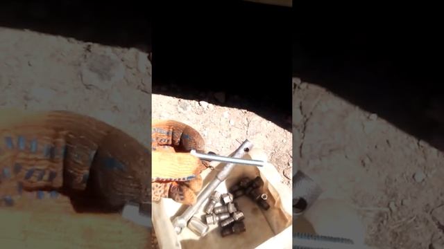 Страсти на колесах