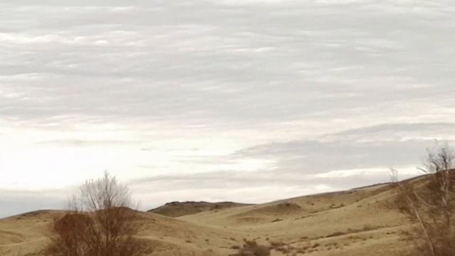 254a769babf09d932a014d15e04bd84c