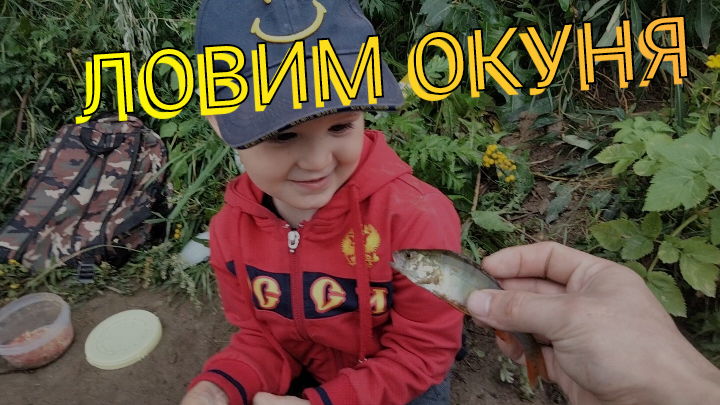 Мини рыбалка на попрловок с сыном (проверяем место, ловим окуней)