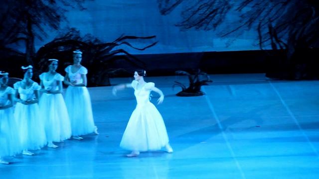 B19d14c742de4cdc1194fdb21c95ca53