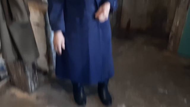 У БАБУШКИ НИНЫ СДОХЛА КОЗА.