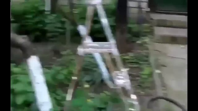 3d1d67539479bf0e1c633beddd49aec0