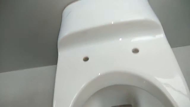 Laufen FloraKids детский подвесной унитаз H82003100001