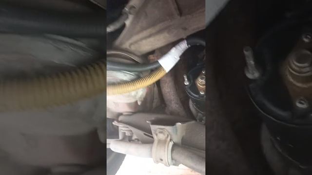 Мастерство в Творчестве