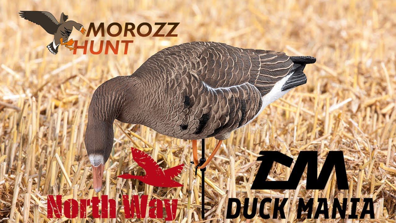 Новинка от North Way - Чучела белолобых гусей Duck Mania.