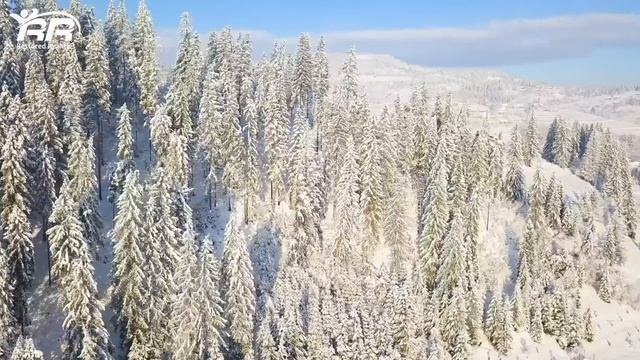 Escape Stress With Nature's Harmony: Calming Piano Music In Natural Healing & Relief Zone